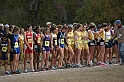 2010CIF XC GD4-0718